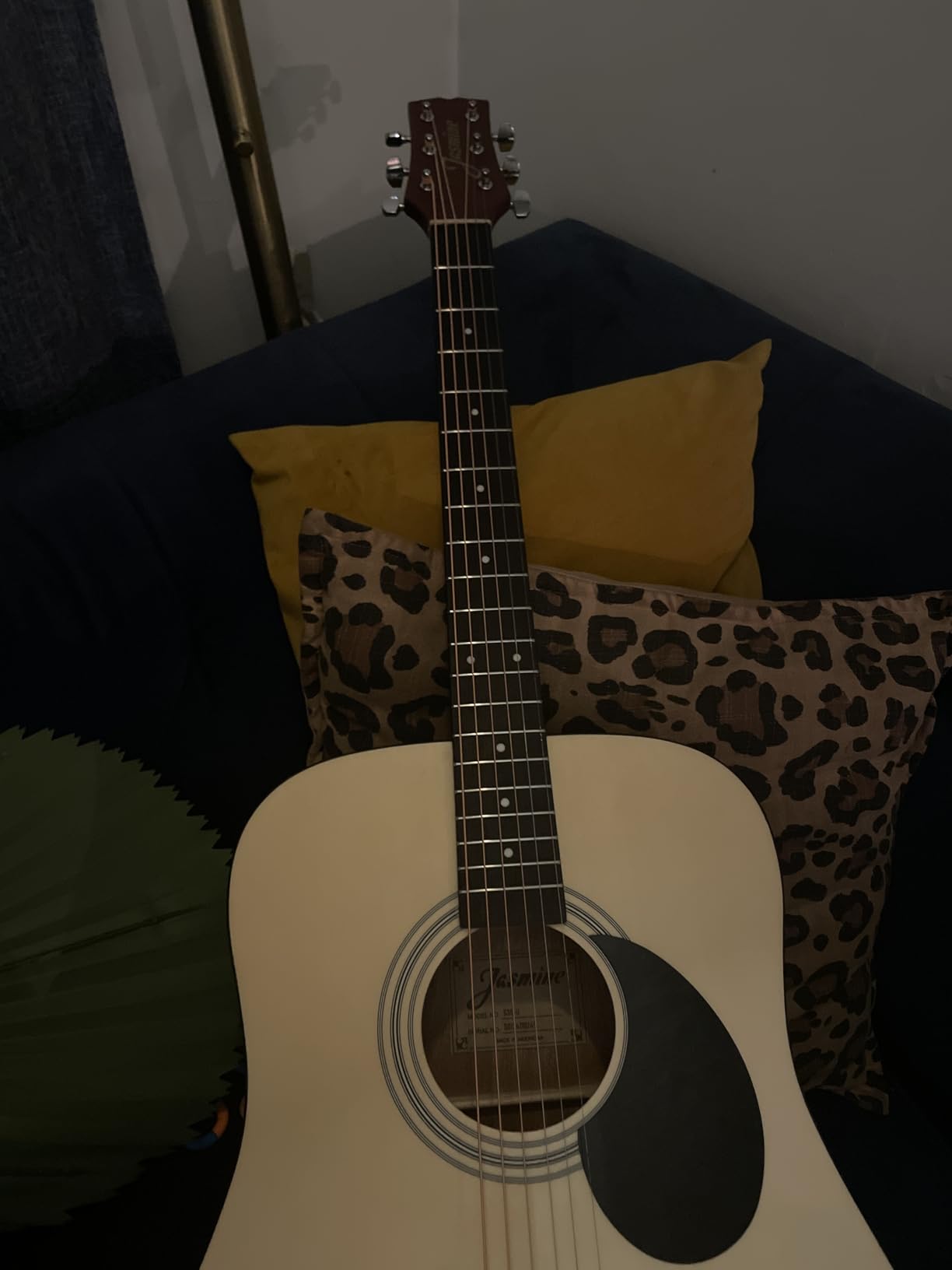 Jasmine S35 Dreadnought Acoustic Guitar Natural customer photo 1