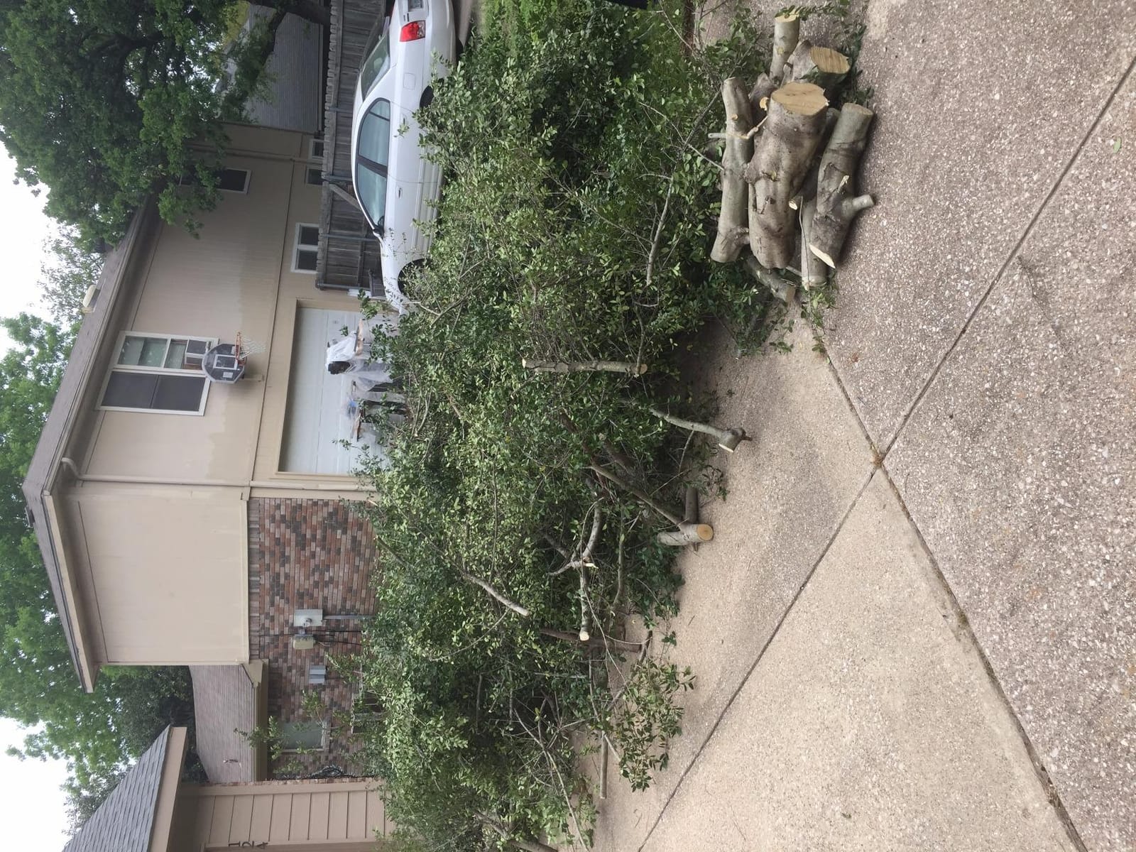 BLACK+DECKER Lopper Chain Saw, 4.5-Amp Pruner, Loppers for Tree Trimming Heavy Duty (LP1000) customer photo 1