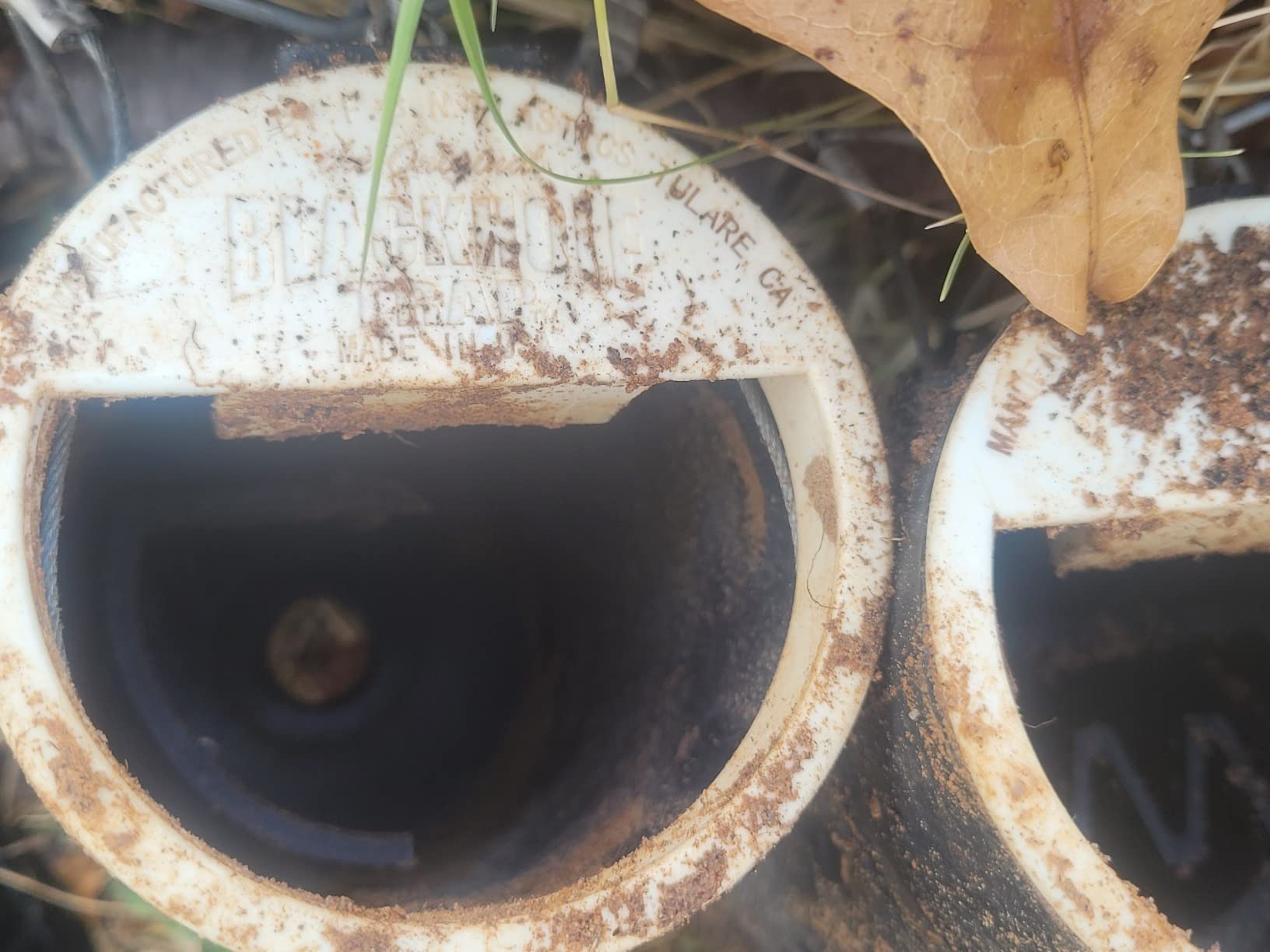Blackhole Trap - The Original Blackhole Mole, Rodent & Gopher Trap, Spring Loaded, Easy to Use, Reusable Dark Trap Hole for Eliminating Pests in All Yards customer photo 2