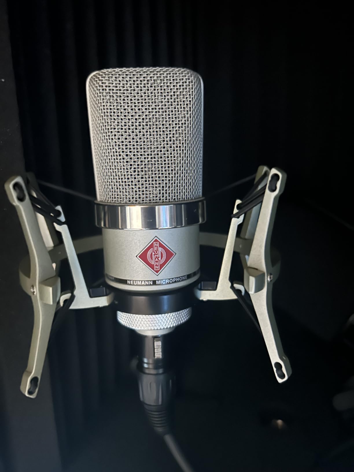 Neumann TLM 102 Large-Diaphragm Condenser Microphone - Nickel customer photo 1