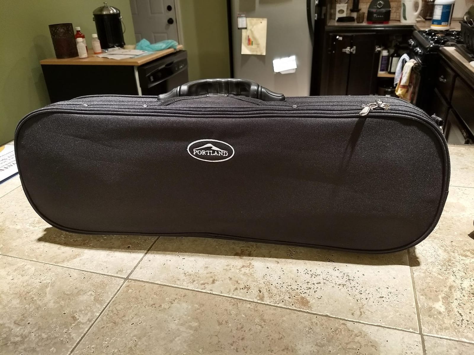 Bunnel Pupil Violin Outfit 4/4 Full Size Clearance By Kennedy Violins - Carrying Case and Accessories Included - Solid Maple Wood and Ebony Fittings RB300 customer photo 1