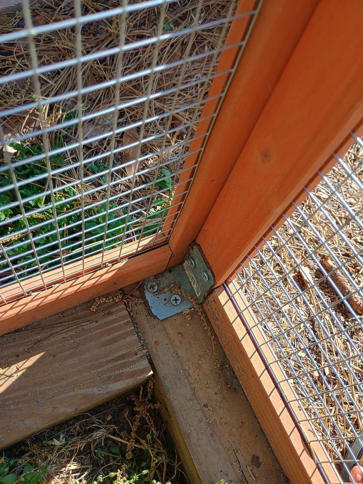 Trixie Natura Chicken Outdoor Run with Mesh-Covered Top, Extension for Natura Chicken Coops (55960, 55962, 55963, 55964), up to 2 Chickens (Standard Size) or 4 Bantams customer photo 2
