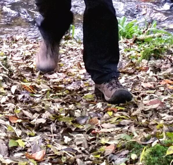 KEEN Men's Targhee 2 Mid Height Waterproof Hiking Boots customer photo 2