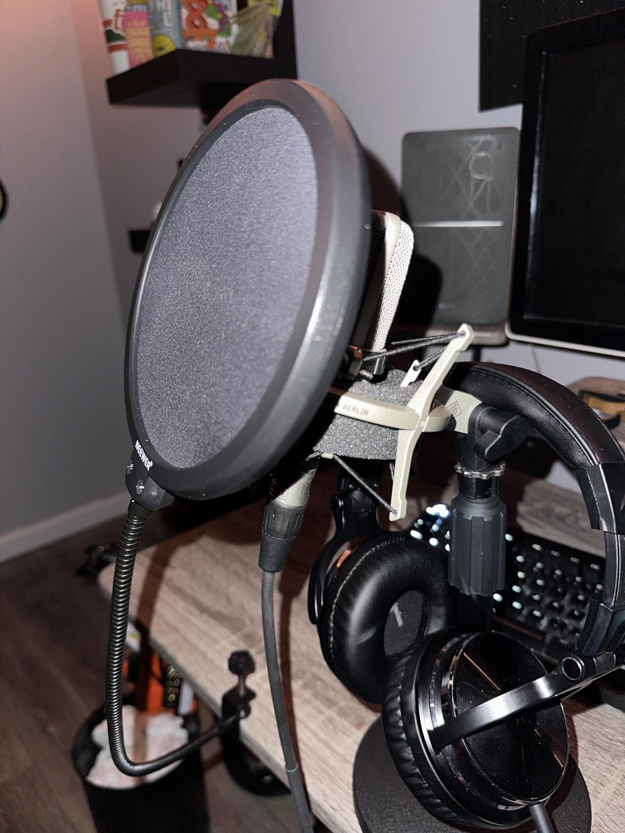 NEEWER Professional Microphone Pop Filter Shield customer photo 1