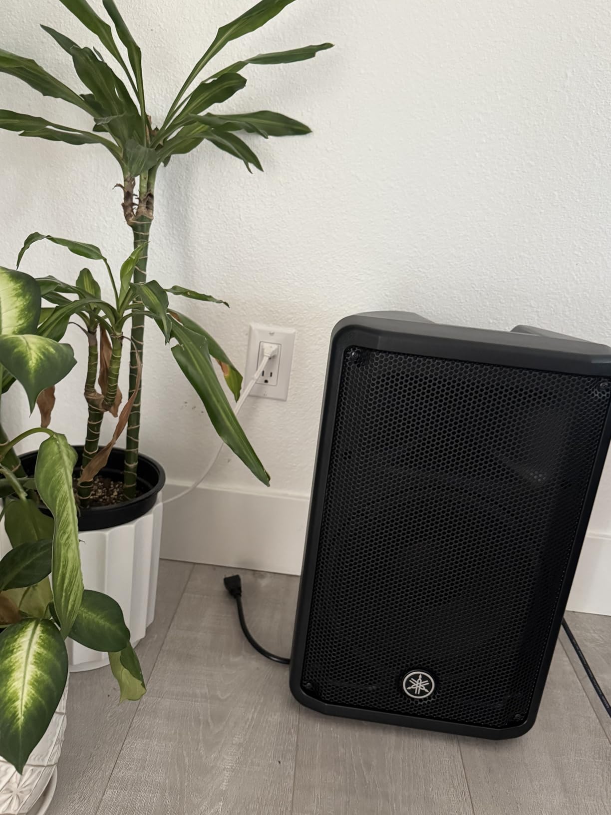 Yamaha DBR10 700-Watt Powered Speaker customer photo 2