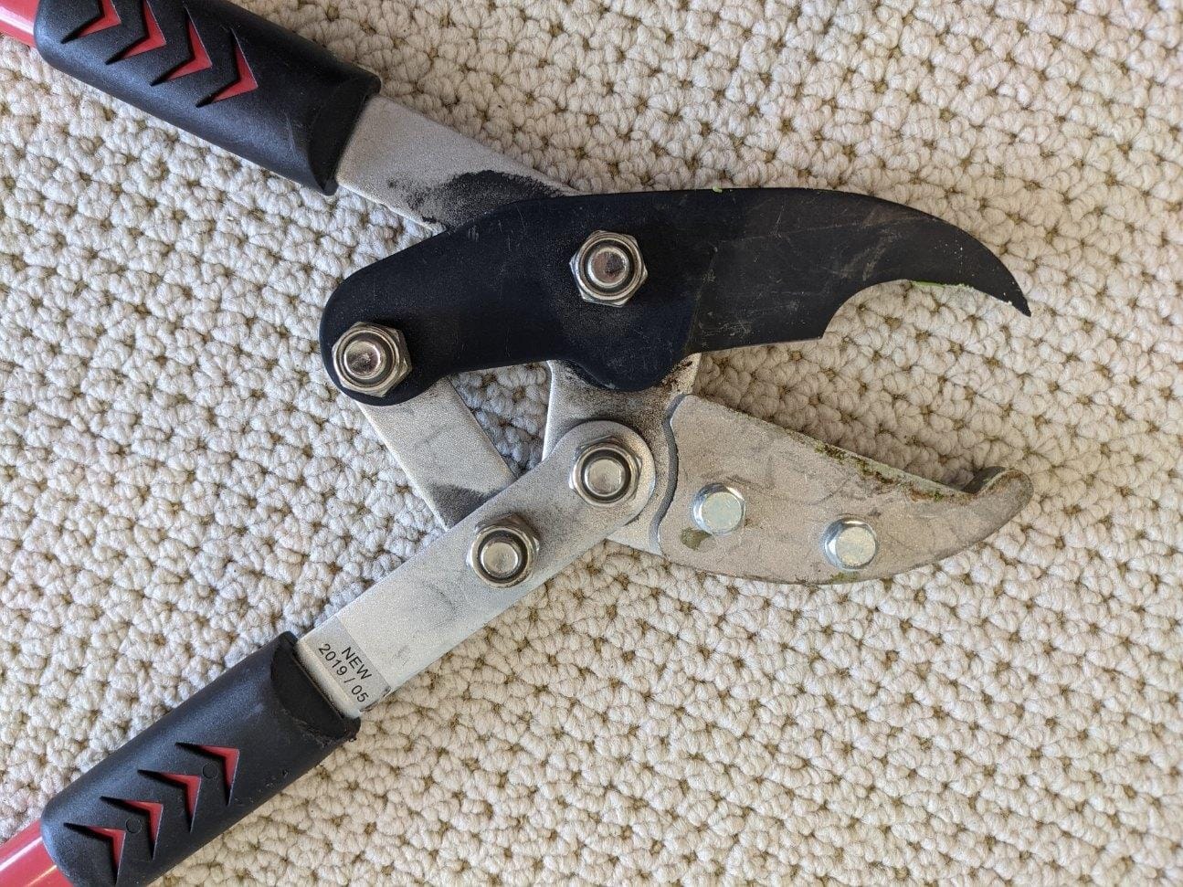 TABOR TOOLS GG12A Anvil Lopper with Compound Action, 30 Inch Tree Trimmer & Branch Cutter, Heavy Duty Tree Pruner with 2 Inch Cut Capacity, Chops Thick Dry Branches with Ease customer photo 2