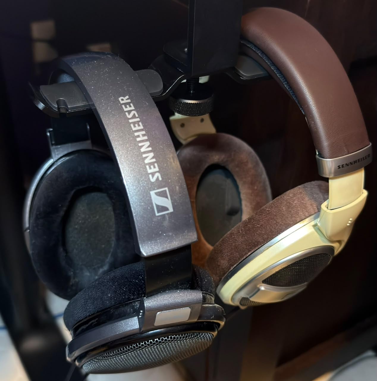 Sennheiser HD 599 Open-Back Wired Audiophile Headphones, Ivory customer photo 2