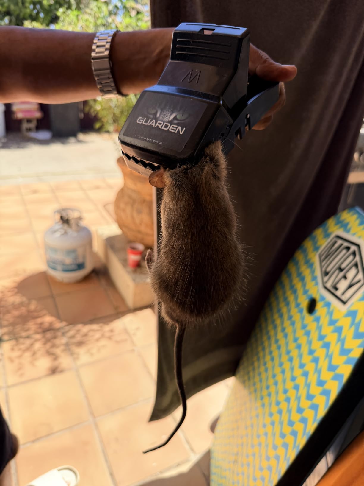Rat Trap Six Pack - Powerful Reusable Traps for a Quick Kill Indoor or Out customer photo 2