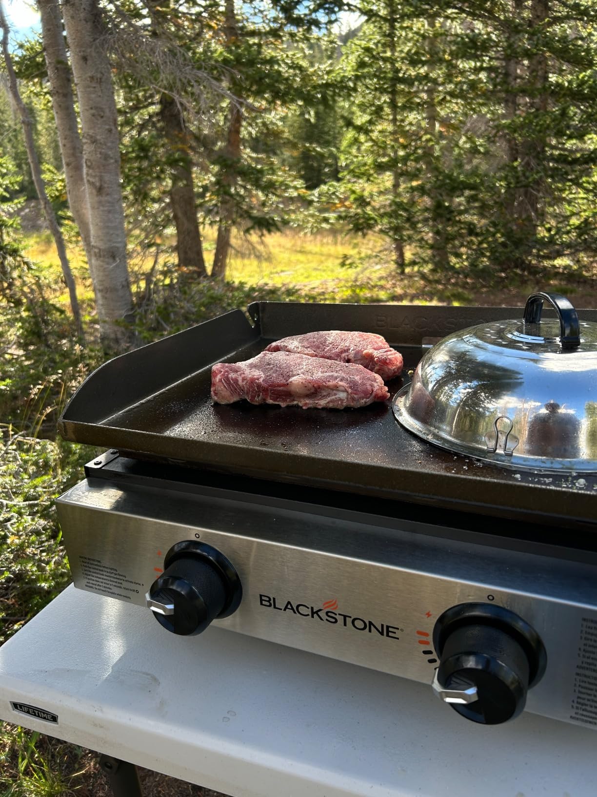 Blackstone 1666 22” Tabletop Griddle with Stainless Steel Faceplate, Powder Coated Steel, Black customer photo 2