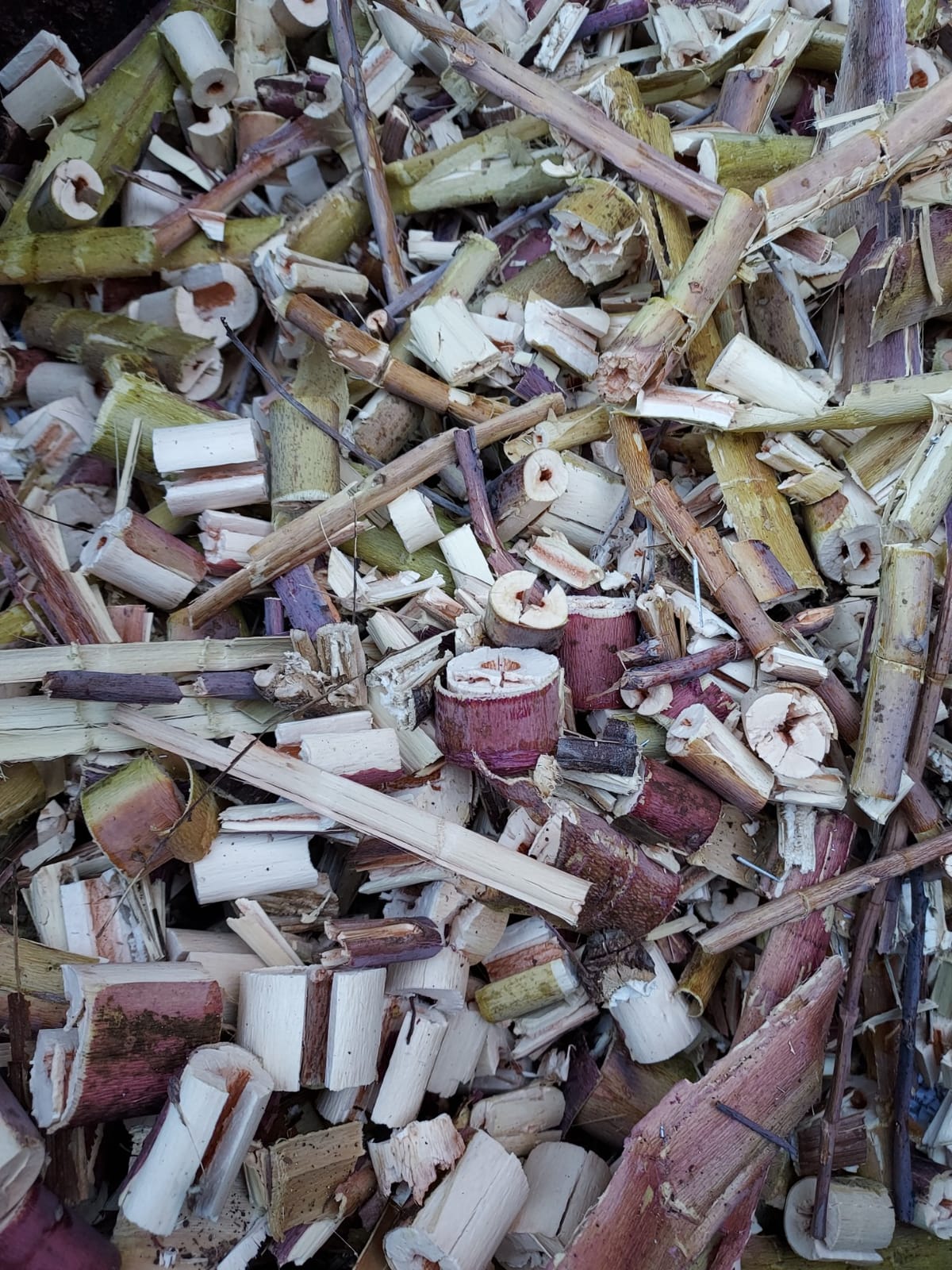 Sun Joe Wood Chipper Shredder and Waste Shredding Machine, CJ603E customer photo 1