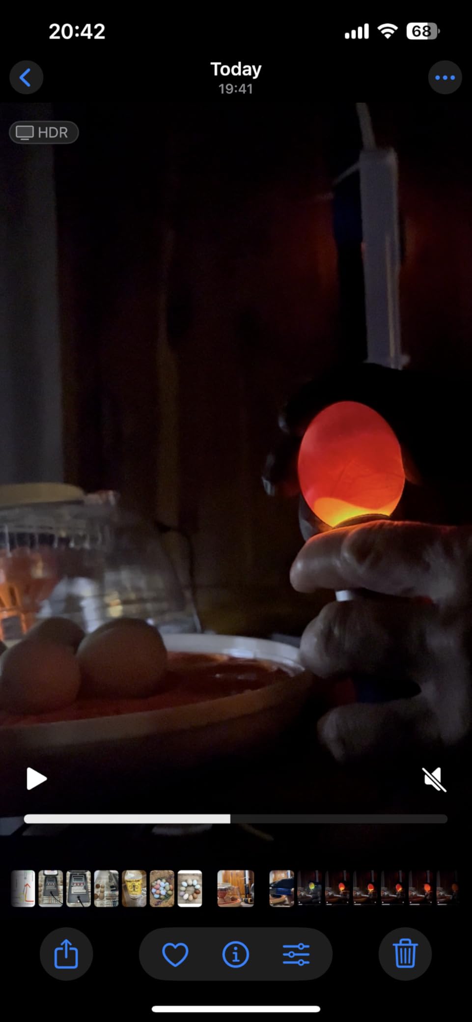 Incu-Bright™ Ultra Bright LED Egg Candler - Portable Light for All Egg Size customer photo 2