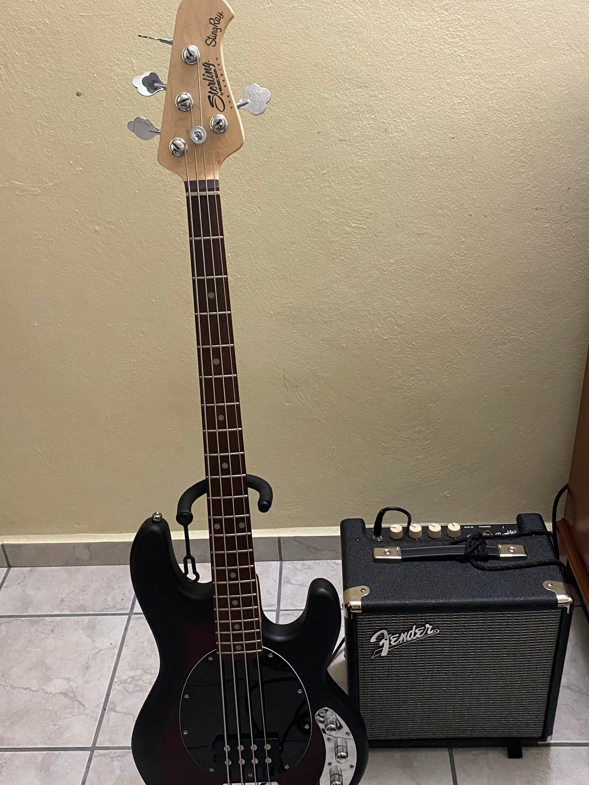 Sterling by Music Man StingRay Ray4 Bass Guitar in Walnut Satin customer photo 2