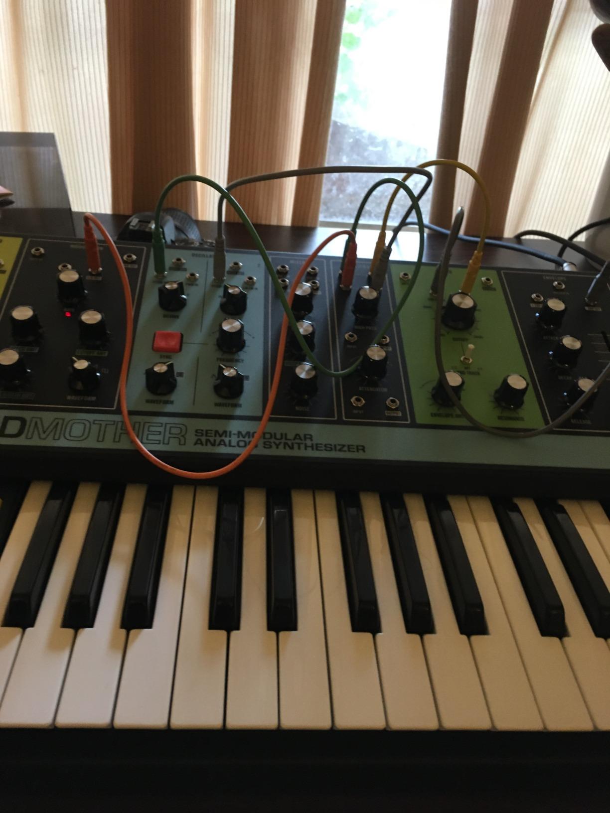 MOOG Grandmother Semi-Modular Analog Synthesizer customer photo 1