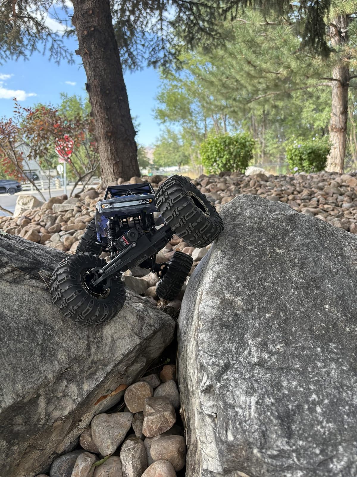 Redcat Racing Danchee Ridgerock 1/10 Scale 4WD Electric RC Rock Crawler – RC Truck RTR with 2.4GHz Radio, Dual Motors, 4-Wheel Steering, USB Charger with RC Crawler Li-ion Battery customer photo 1