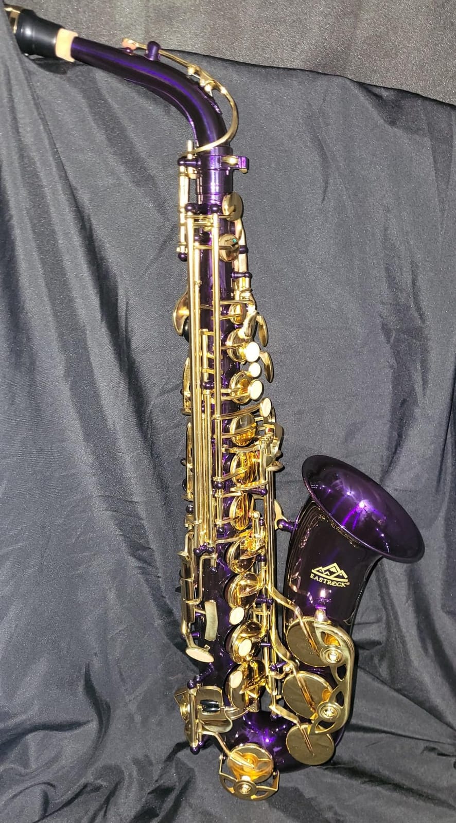EASTROCK E Flat Alto Saxophone Gold Alto Sax for Beginners and Students | Alto Sax Kit-Carrying Case, Mouthpiece, Reeds, Cushion Pads, Cleaning Kit, Gloves, Neck Strap for Practice & Performance customer photo 1