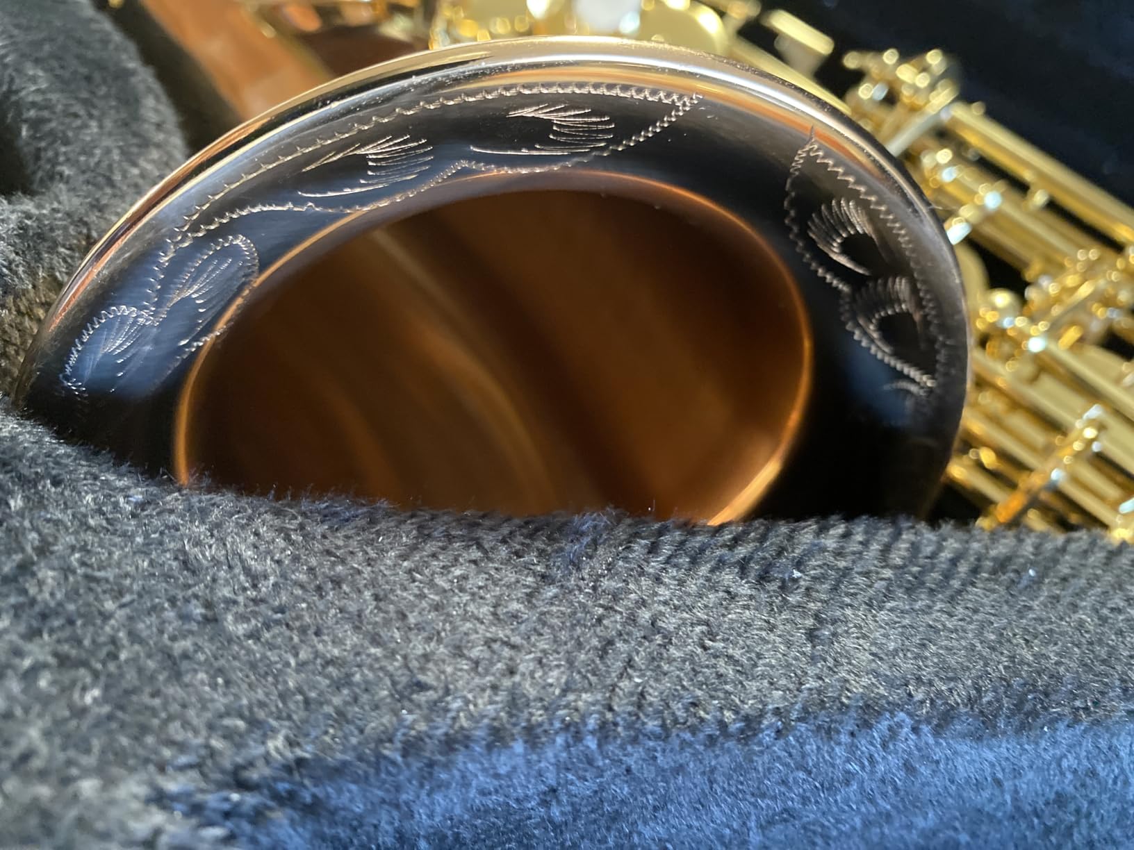 EASTROCK E Flat Alto Saxophone Gold Alto Sax for Beginners and Students | Alto Sax Kit-Carrying Case, Mouthpiece, Reeds, Cushion Pads, Cleaning Kit, Gloves, Neck Strap for Practice & Performance customer photo 2