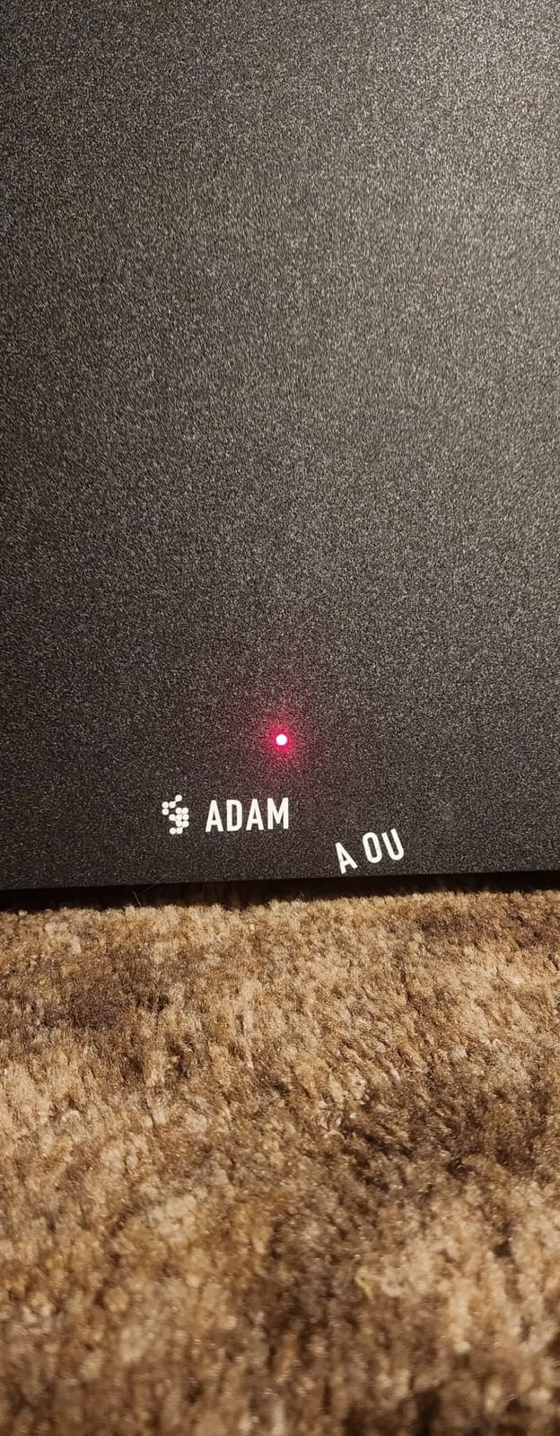 ADAM Audio T10S Subwoofer customer photo 2