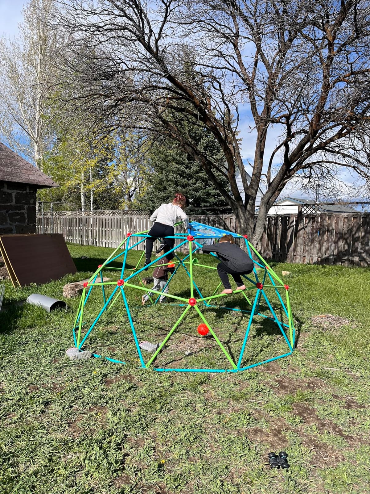 Zupapa 10FT Climbing Dome, Outdoor Jungle Gym for Kids with Climbing Grip - Geometric Dome Climber Outdoor Playset and Easy Assembly Outdoor Play Equipment for Kids (Blue, 10FT) customer photo 1