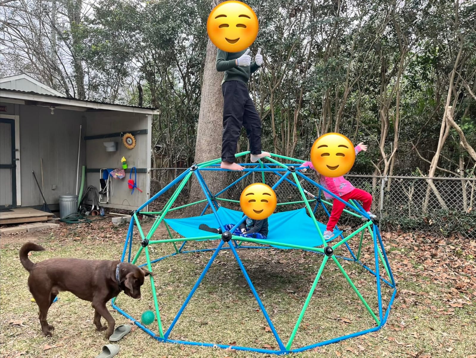 Zupapa 10FT Climbing Dome, Outdoor Jungle Gym for Kids with Climbing Grip - Geometric Dome Climber Outdoor Playset and Easy Assembly Outdoor Play Equipment for Kids (Blue, 10FT) customer photo 2