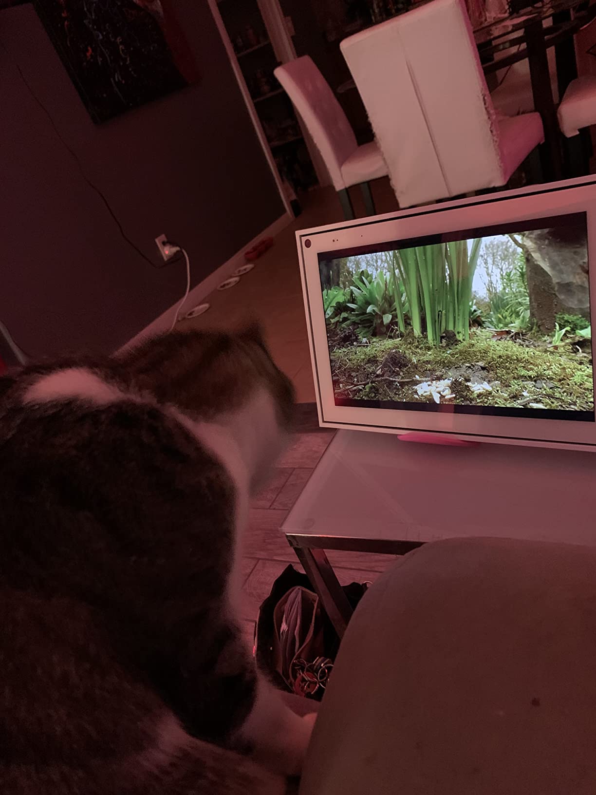 Meta Portal - Smart Video Calling for the Home with 10” Touch Screen Display - White customer photo 2
