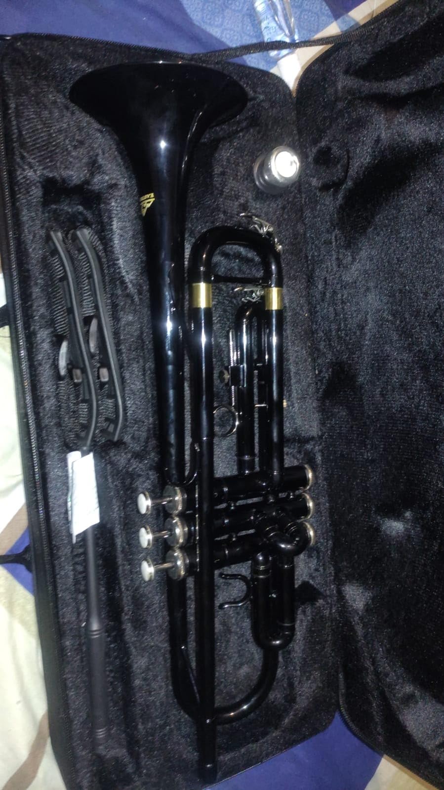 EASTROCK Bb Trumpet Standard Trumpet Set with Carrying Case,Gloves, 7C Mouthpiece and Cleaning Kit (Gold) customer photo 2