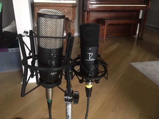 TZ Stellar X2 Large Diaphragm Cardioid Condenser XLR Microphone customer photo 2