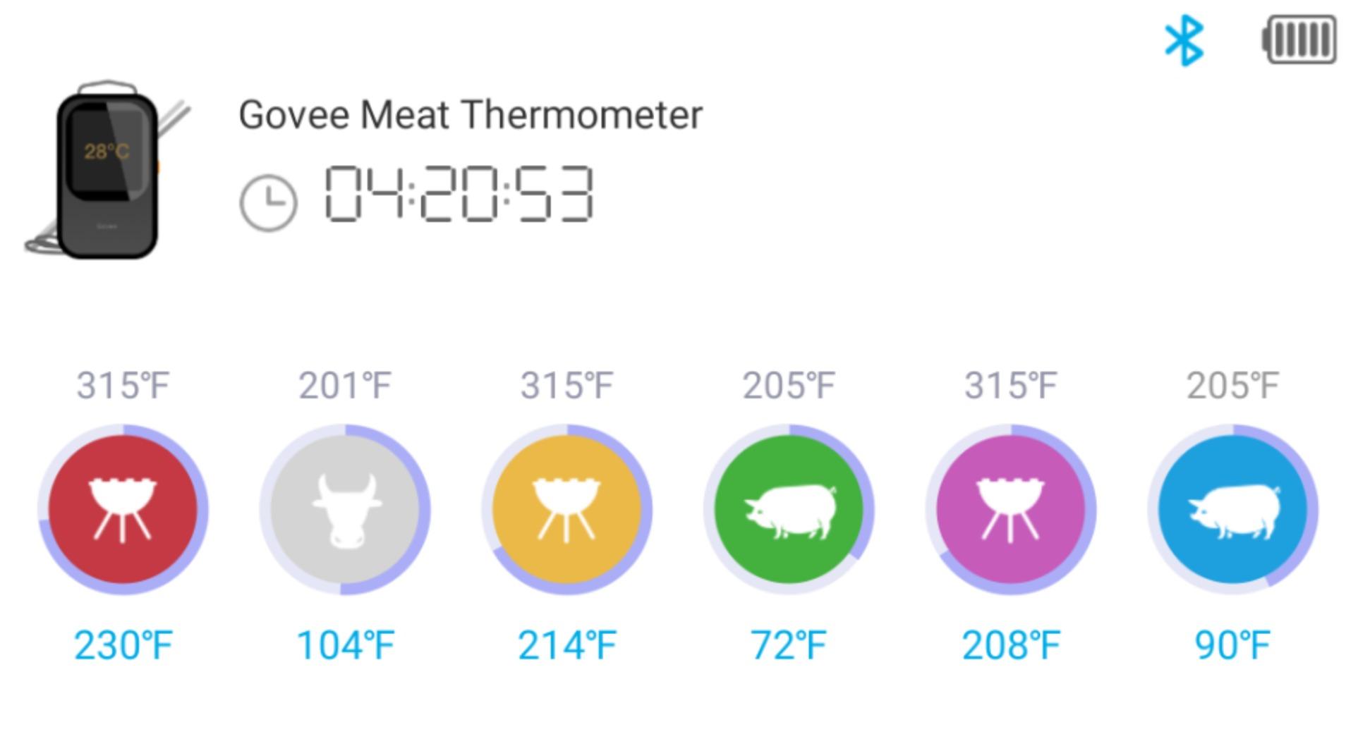Govee Bluetooth Meat Thermometer Digital with Smart App Timer and Alerts customer photo 1