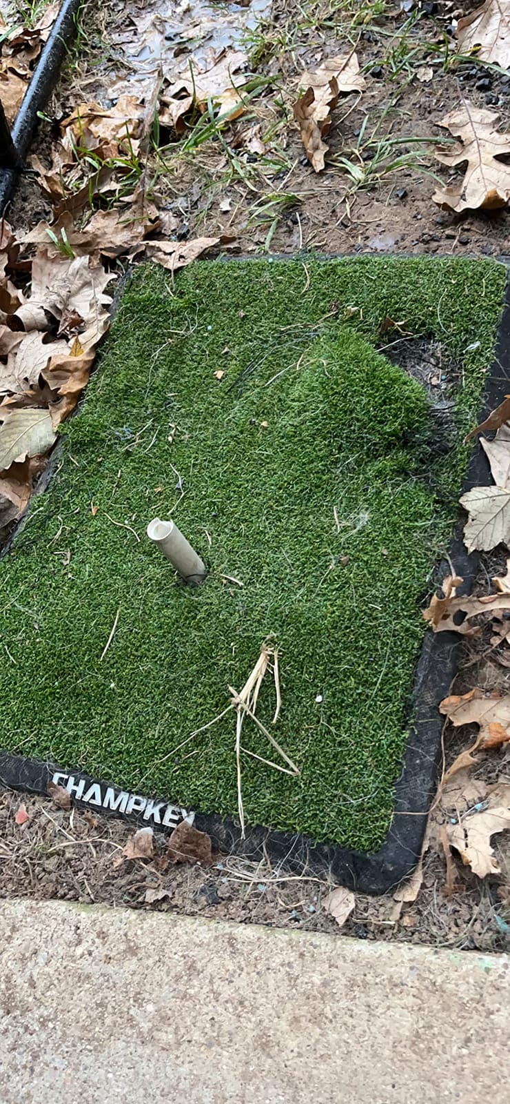 CHAMPKEY Premium Synthetic Turf Golf Hitting Mat | Heavy Duty Rubber Base Golf Practice Mat | Come with 1 Rubber Tee and 9 Plastic Tees customer photo 1