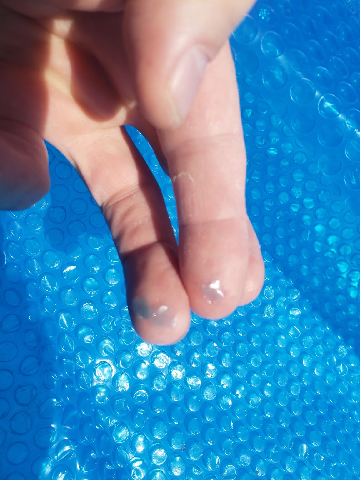 Doheny's Clear-Tek Micro Bubble Solar Pool Cover for Above Ground Swimming Pools | Increase Solar Energy Absorption, Retain Heat, Reduce Evaporation, Reduce Heat Loss & Save, 18 ft Round Blue 1600 customer photo 1
