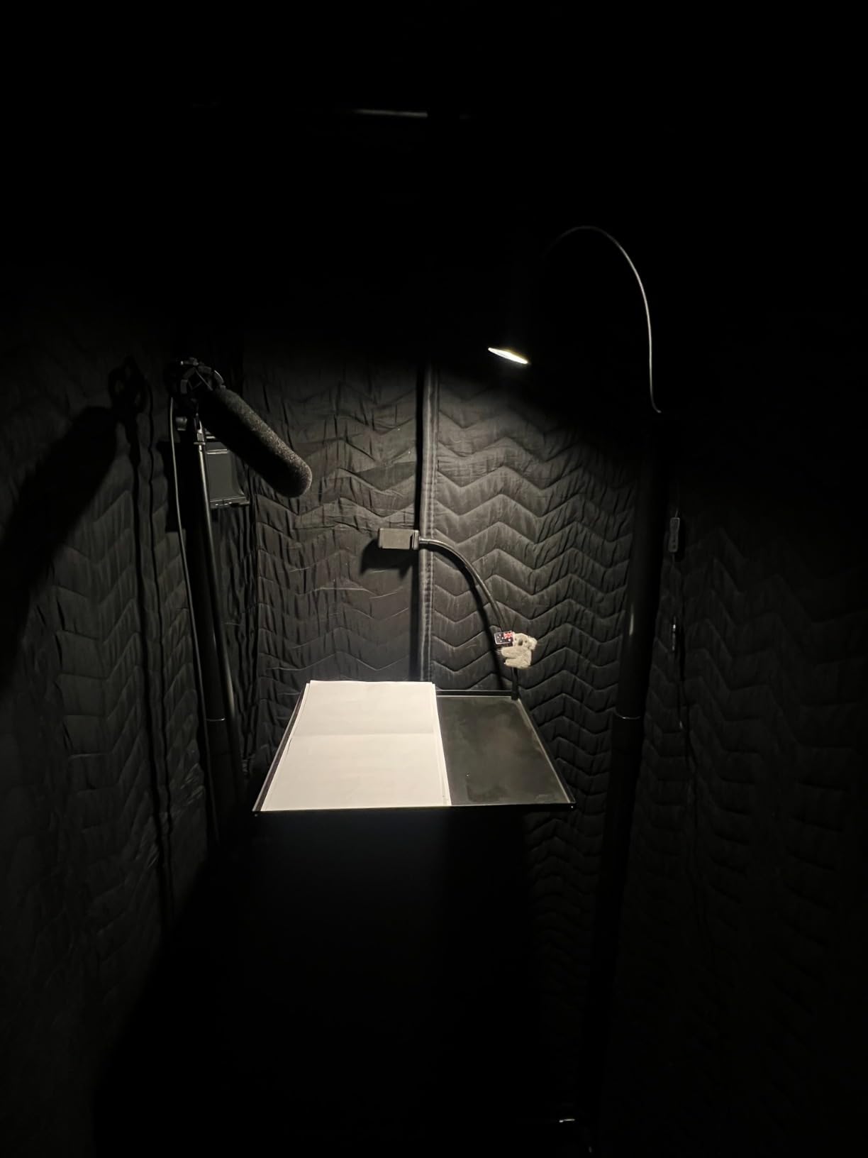 Ultimate Portable Vocal Booth for Home Recording, Reduces Echo & Reverb | Heaviest Duty Sound Absorbing Blankets, Fits Singers Up to 6 Ft 8 In, LED Light, Mic Adapter, Phone Holder, Carry Bag customer photo 1