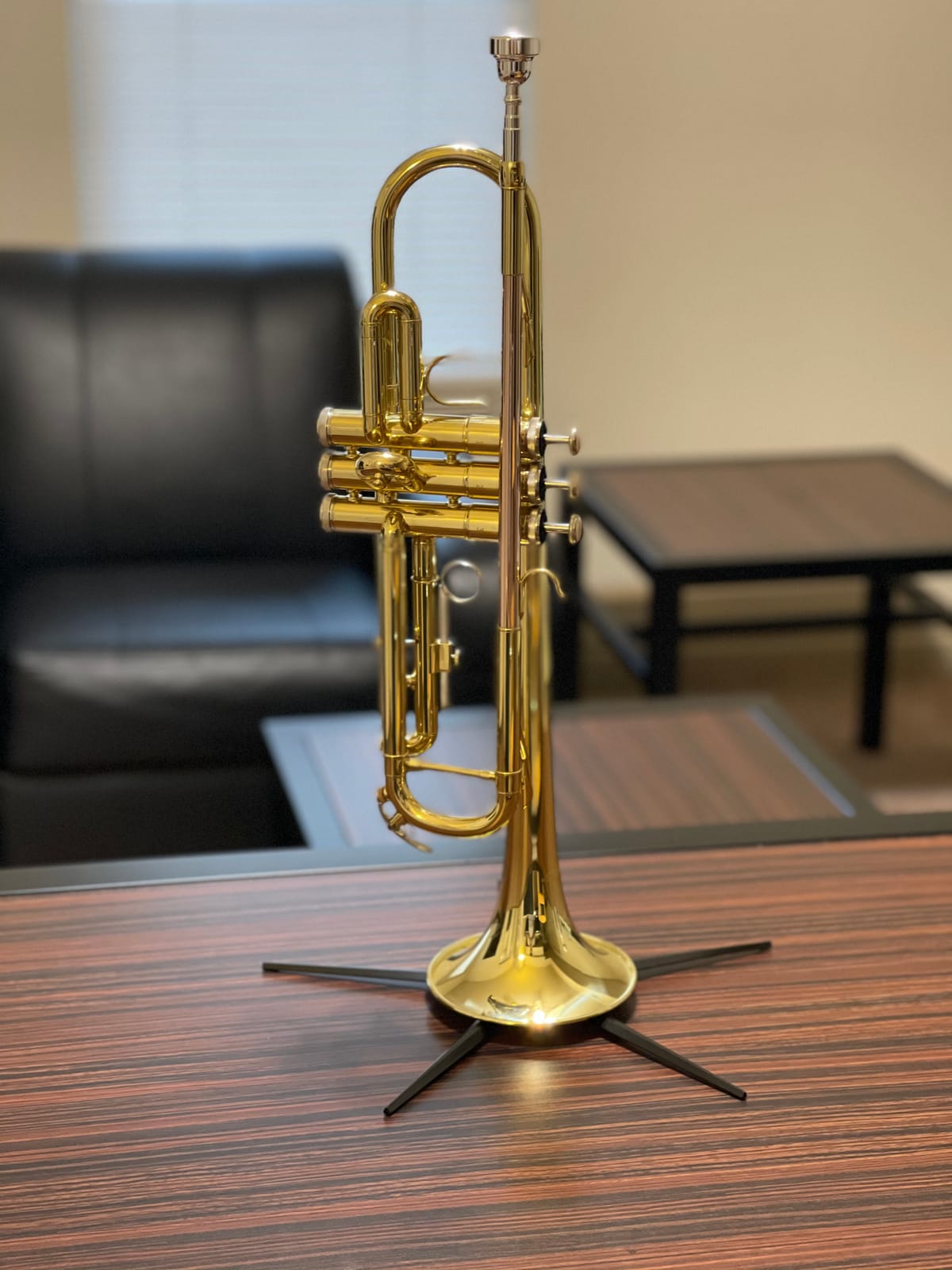 Libretto Gold Lacquer Bb Trumpet Set, Rose Brass Leadpipe | Standard for Beginner & Intermediate Students, Stainless Valve, 7C Mouthpiece, Durable Case, Portable Stand, Care Kit customer photo 1