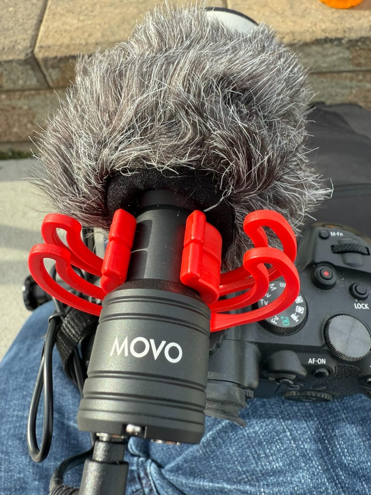 Movo VXR10-PRO Professional Video Microphone for Camera with Rycote Lyre Shock Mount - Shotgun Mic Compatible with DSLR Cameras and iPhone, Android Smartphones customer photo 1