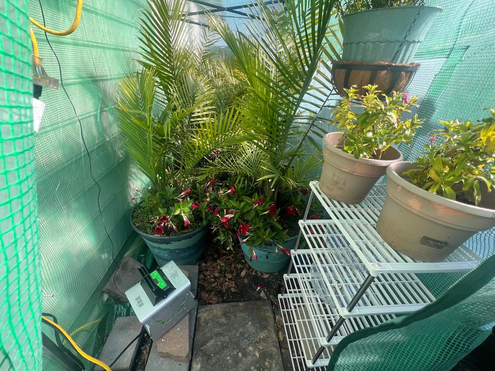 EAGLE PEAK 12x8 Easy Setup Pop Up Greenhouse, Support Pole, Clear/Green customer photo 2