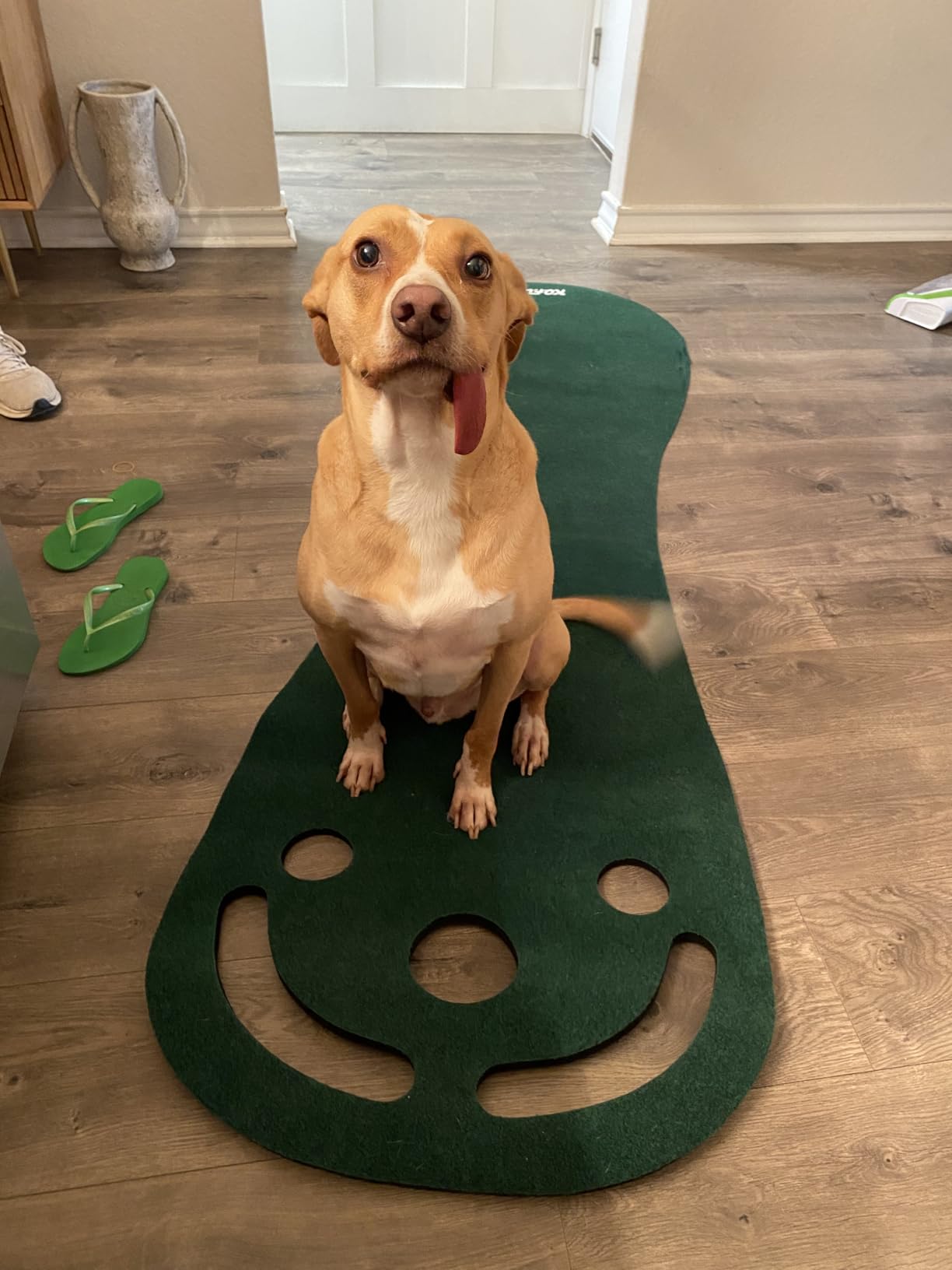 KOFULL Putting Green Mat Set-Mini Golf Set for Indoor/Outdoor Golf Putting customer photo 1
