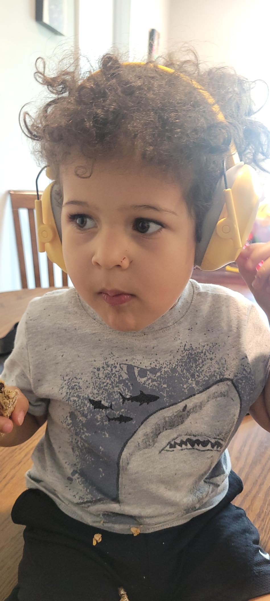 Alpine Muffy Kids Ear Muffs for Kids Ear Protection | 3-16 Years customer photo 1