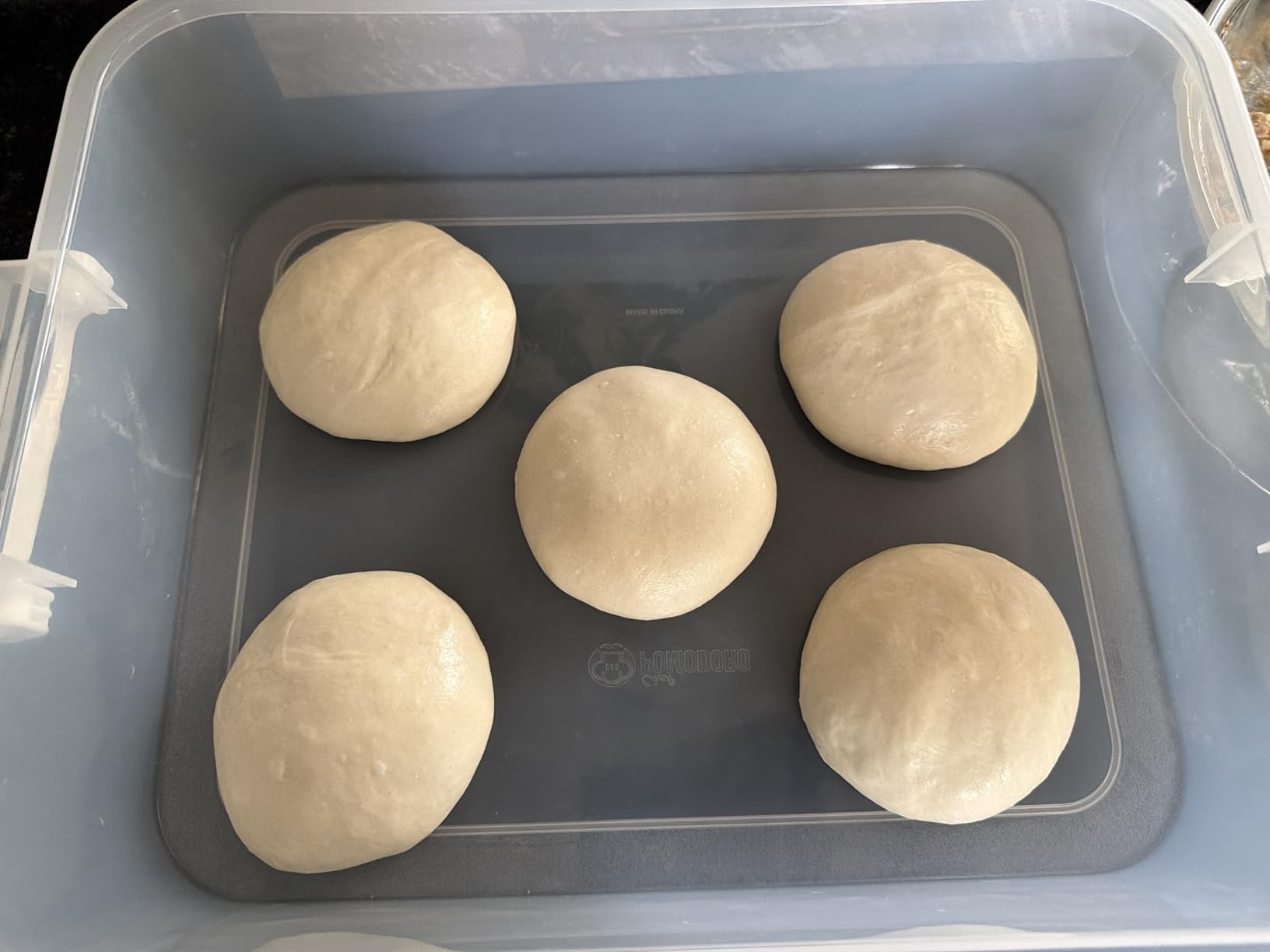 Chef Pomodoro Pizza Dough Proofing Box with Lid, 14x11 In, Blue customer photo 1
