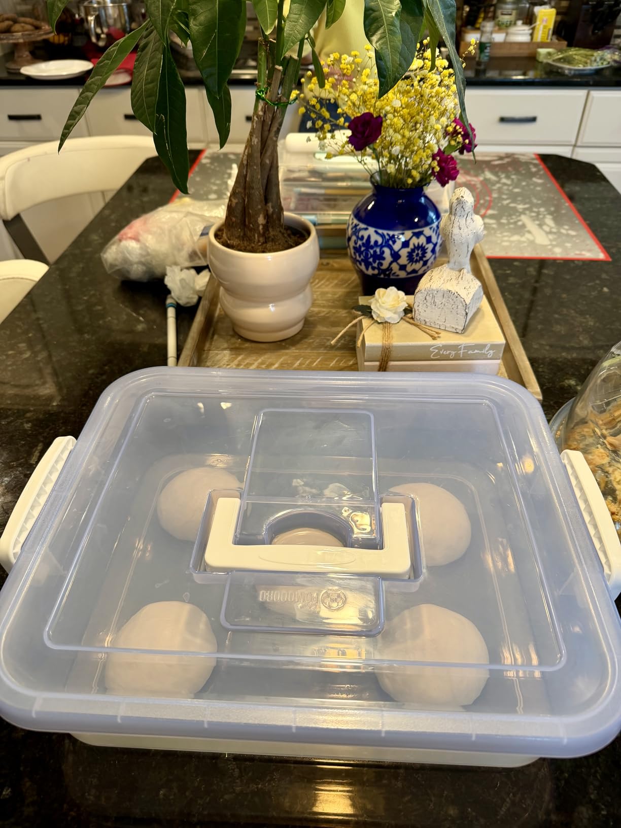Chef Pomodoro Pizza Dough Proofing Box with Lid, 14x11 In, Blue customer photo 2