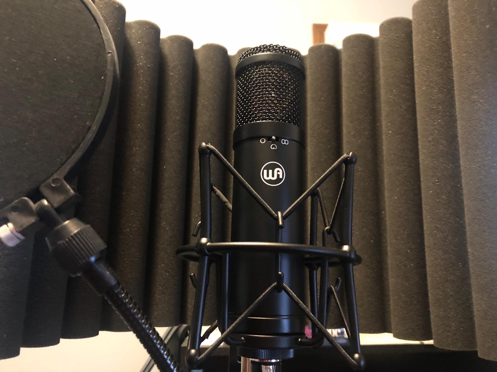 Warm Audio WA47jr Large Diaphragm Condenser Mic, Black customer photo 2