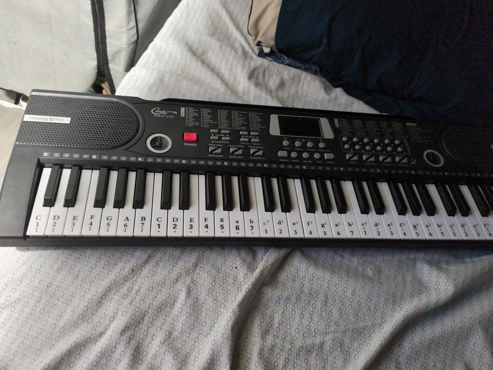 Keyboard Piano Lighted Keys for Beginner Adults Teens Kids, 61 Key Electronic Music Keyboard with Teaching Modes Powered by USB or Battery with LCD Display Microphone Headphone Jack customer photo 2