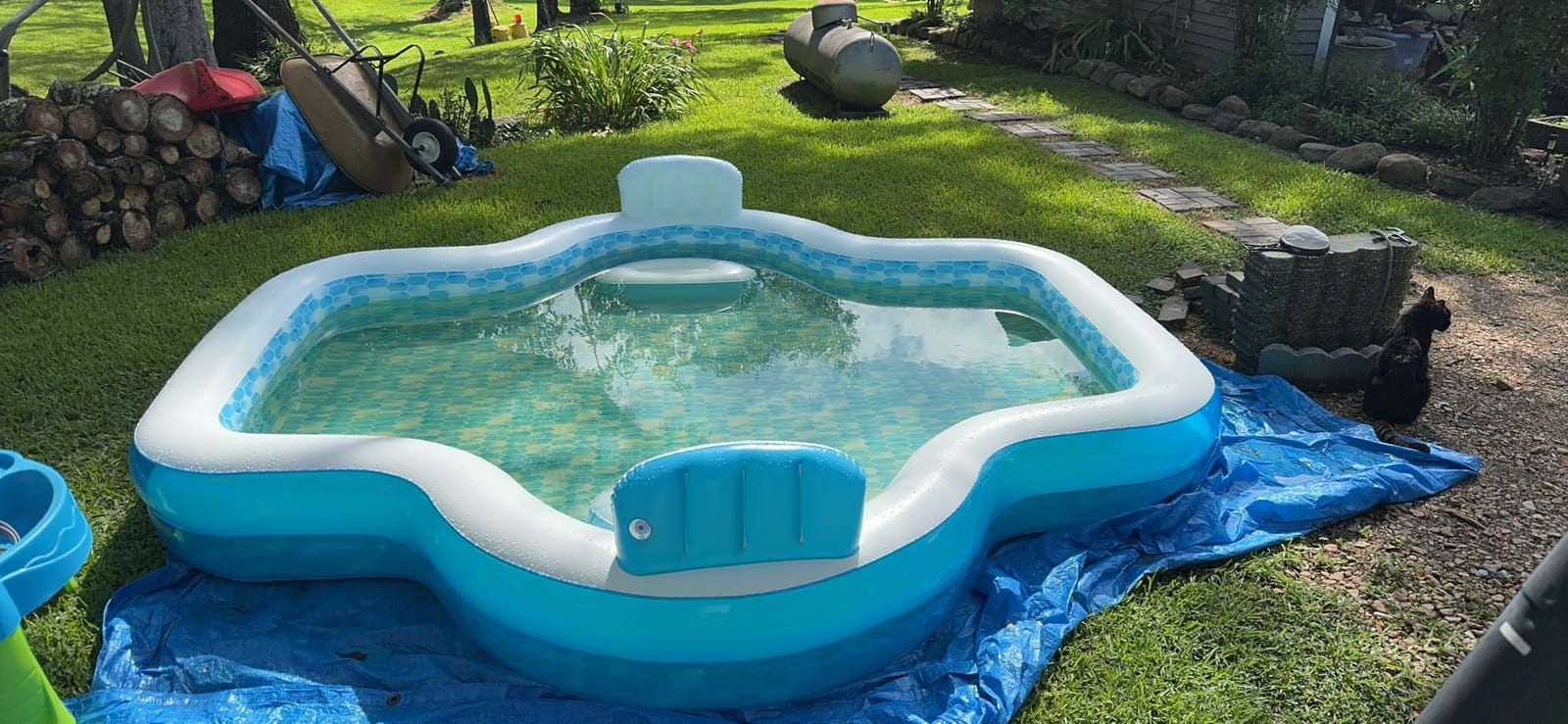 Members Mark Elegant Family Pool 10 Feet Long 2 Inflatable Seats with Backrests. New Version customer photo 1