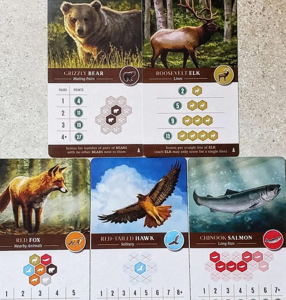 Cascadia, Award-Winning Cozy Nature Board Game Set in the Pacific Northwest customer photo 2