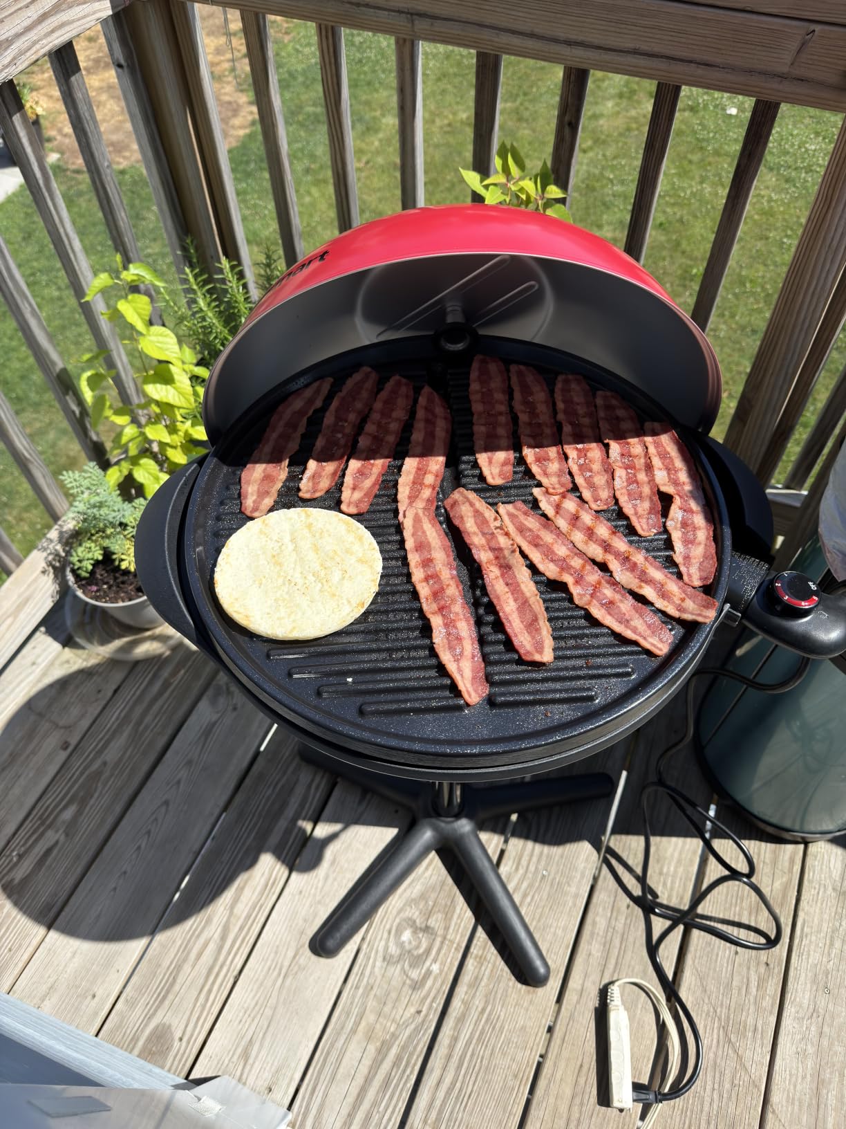 Cuisinart Electric Grill, Indoor/Outdoor, Compact, Portable, Nonstick customer photo 2
