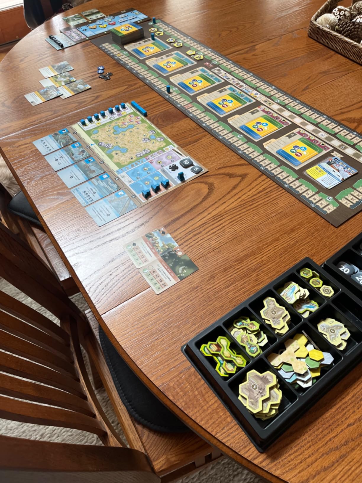 Capstone Games Ark Nova Zoo Management Strategy Board Game for 1-4 Players customer photo 1