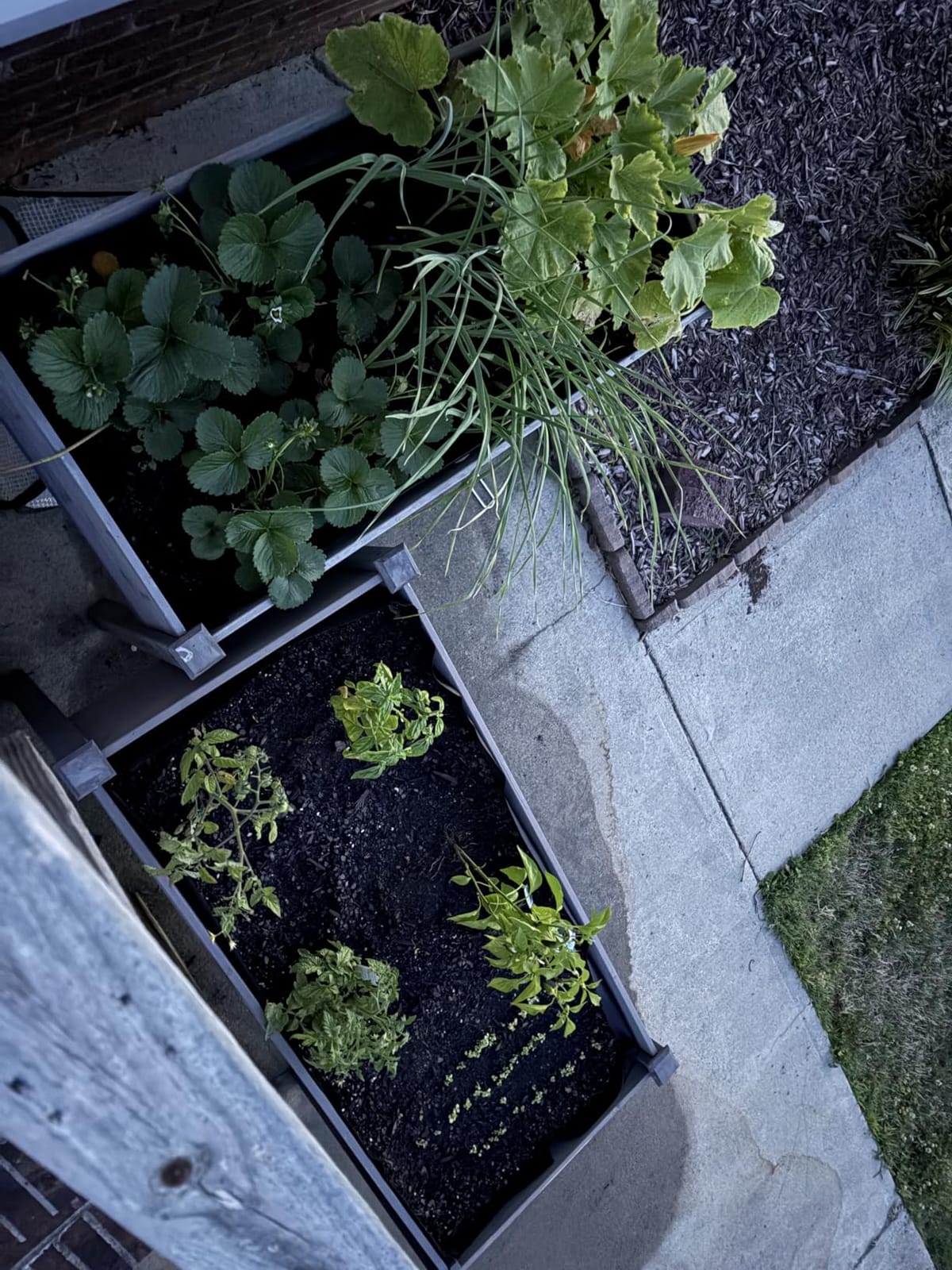 Raised Garden Bed with Legs, 48×24×30 Cedar Wood Elevated Planter Box customer photo 2