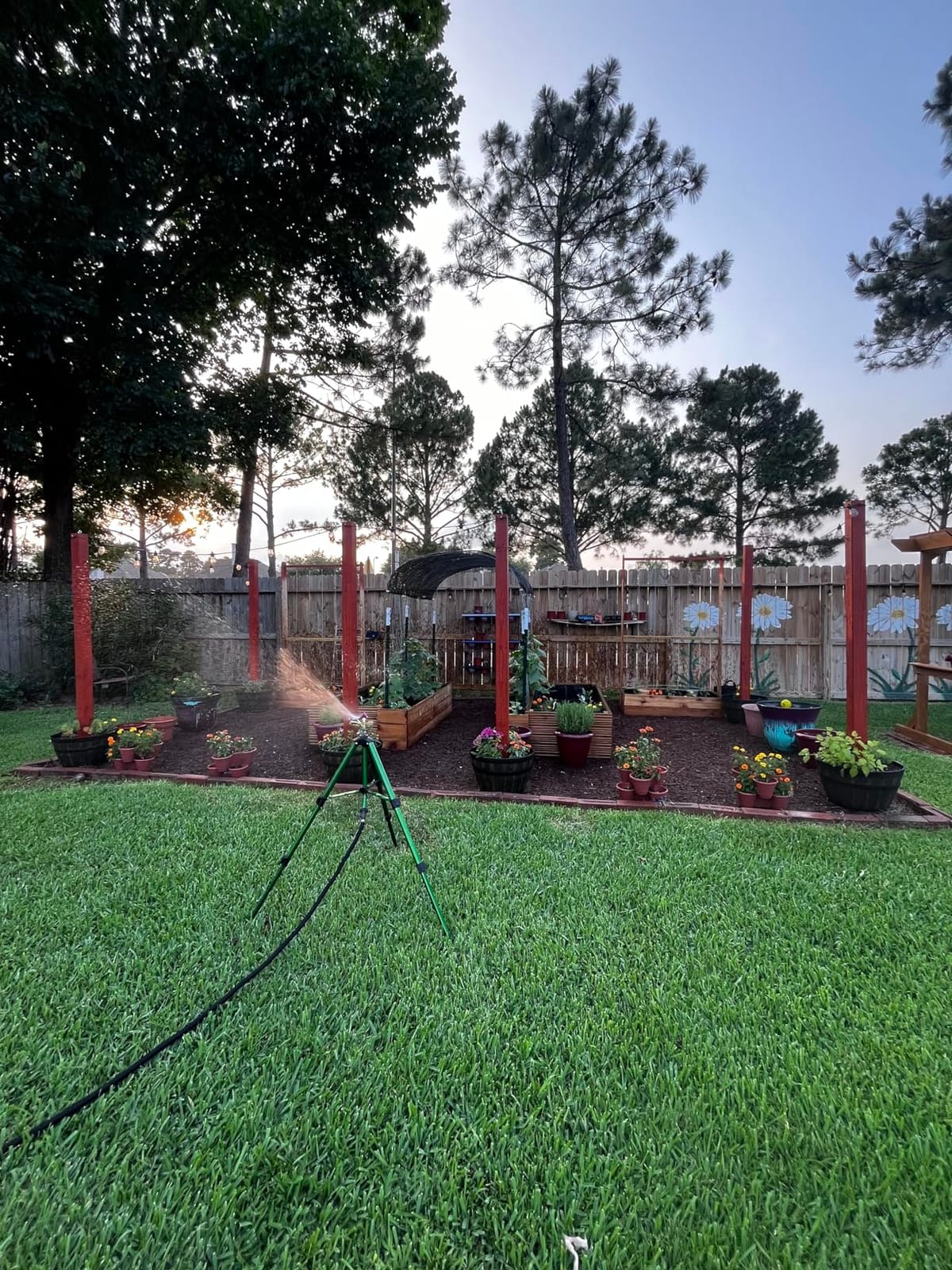 Hourleey Impact Sprinkler on Tripod Base, Heavy Duty Brass Sprinklers for Yard Lawn Garden, 0-360 Degree Large Area Coverage, 3/4 Inch Connector Extension Legs Flip Locks with Brass Sprinkler Head customer photo 1