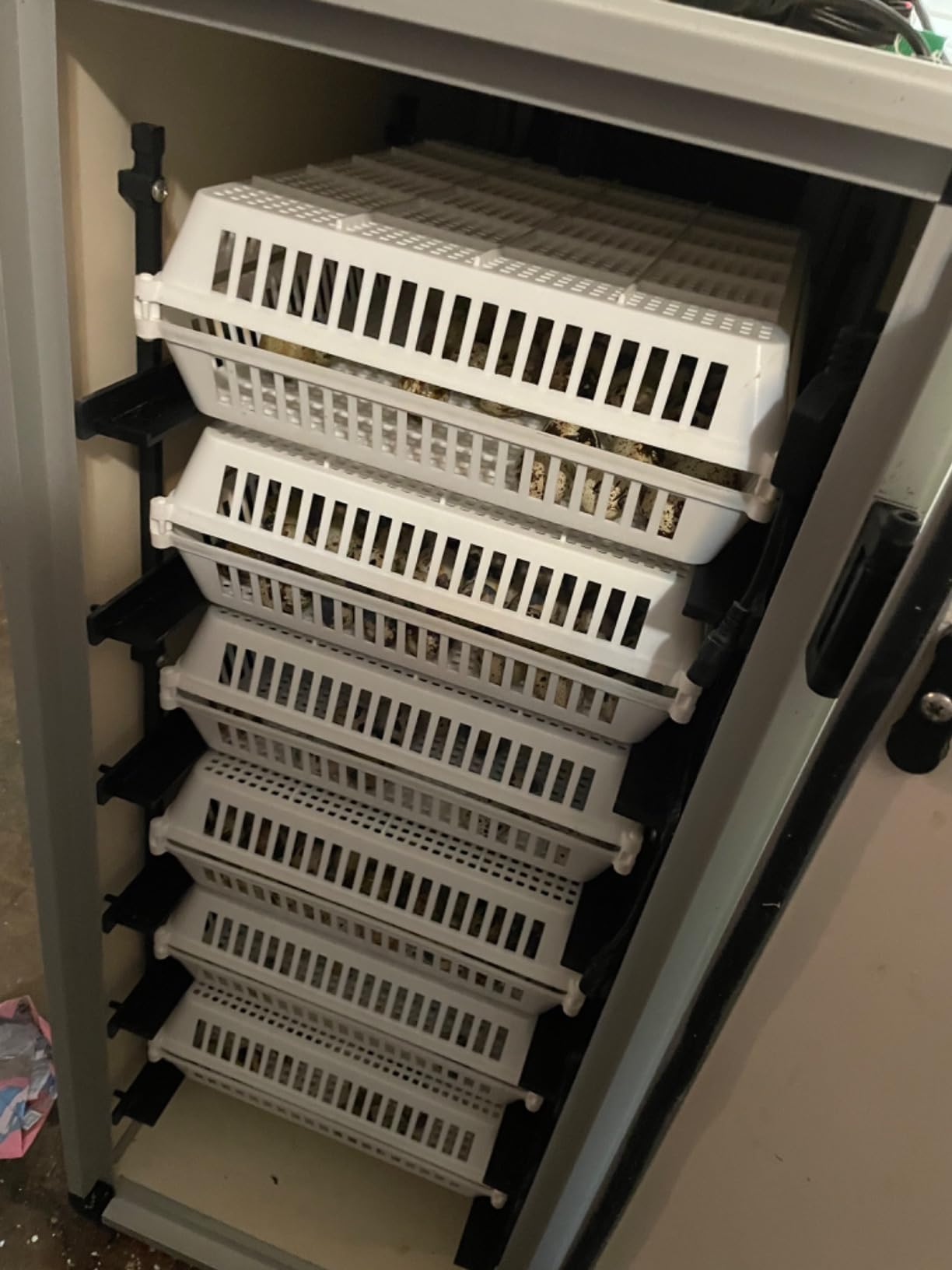 Hatching Time Incubators for Hatching Eggs, CT120SH Egg Setter & Hatcher customer photo 2