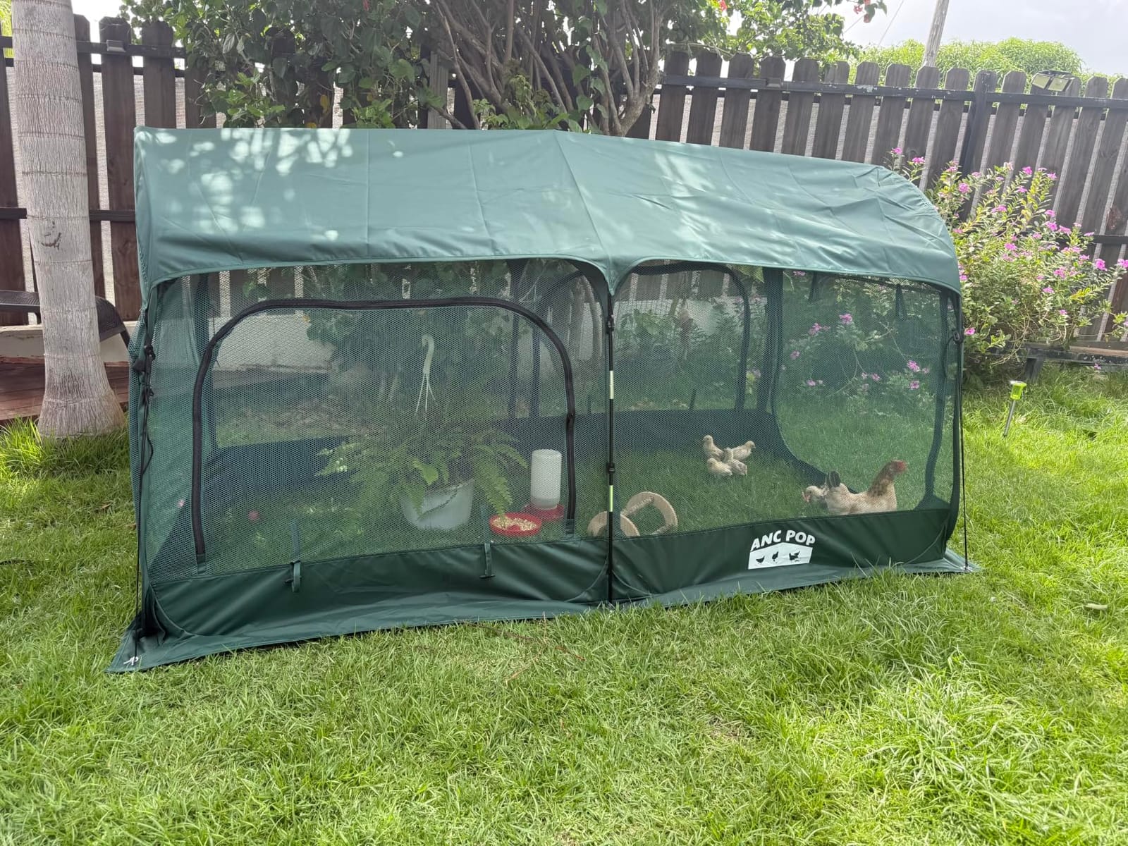 ANC POP Portable Chicken Run Large Pop-Up Chicken Pen for Small Animals Outdoor Gardening Net with 3 Doors and Handbag, Easy to Install and Storage, Green customer photo 1