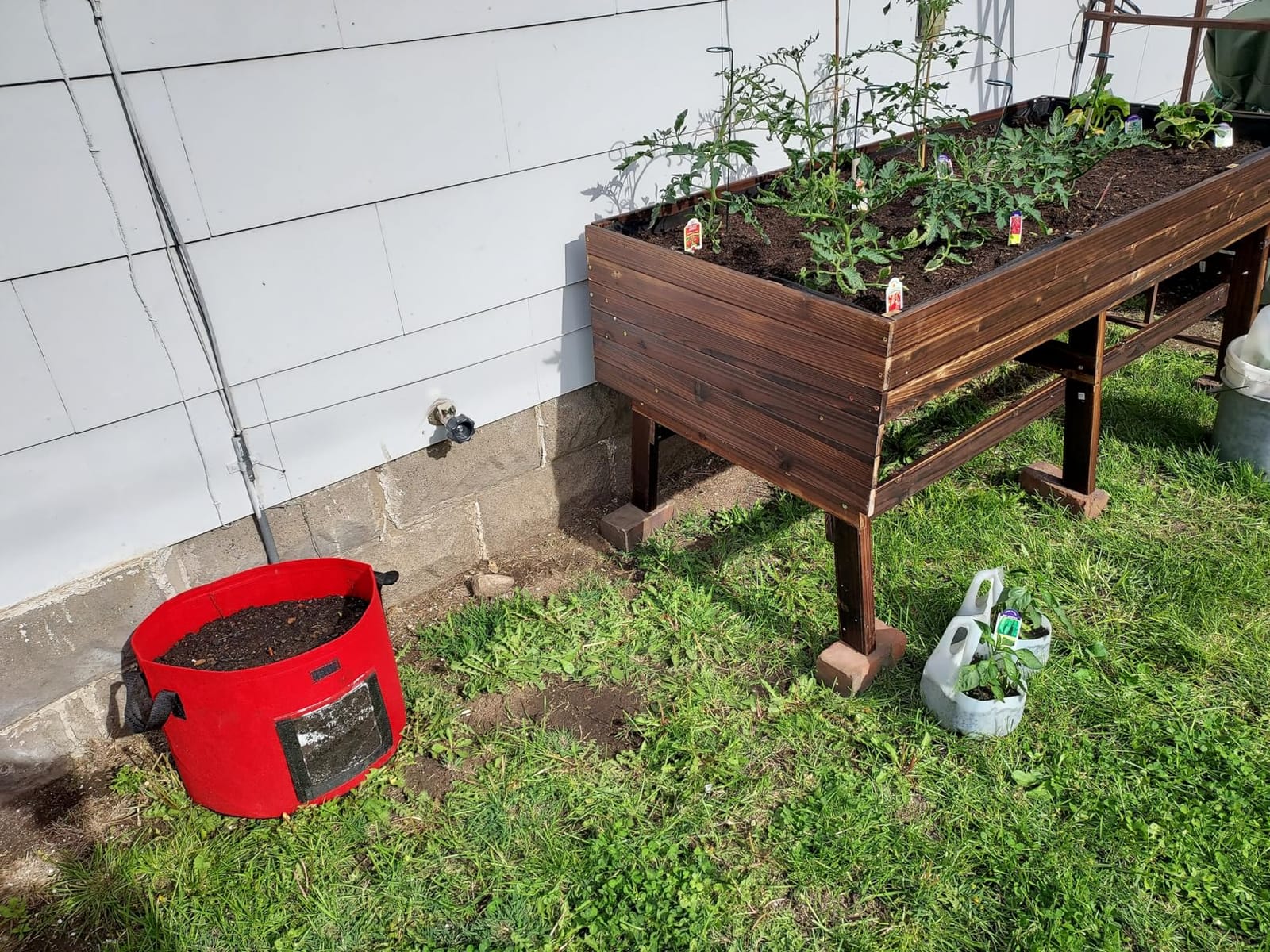 MUPATER 6x3x2FT Cedar Raised Garden Bed for Outdoor, Raised Garden Bed wit 6 Legs, 837lbs Large Elevated Garden Planter Box with Liner for Herbs,Vegetables, Rustic customer photo 1