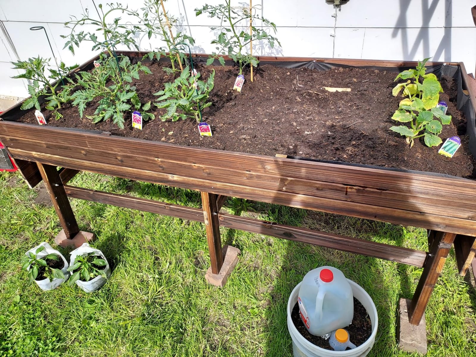 MUPATER 6x3x2FT Cedar Raised Garden Bed for Outdoor, Raised Garden Bed wit 6 Legs, 837lbs Large Elevated Garden Planter Box with Liner for Herbs,Vegetables, Rustic customer photo 2