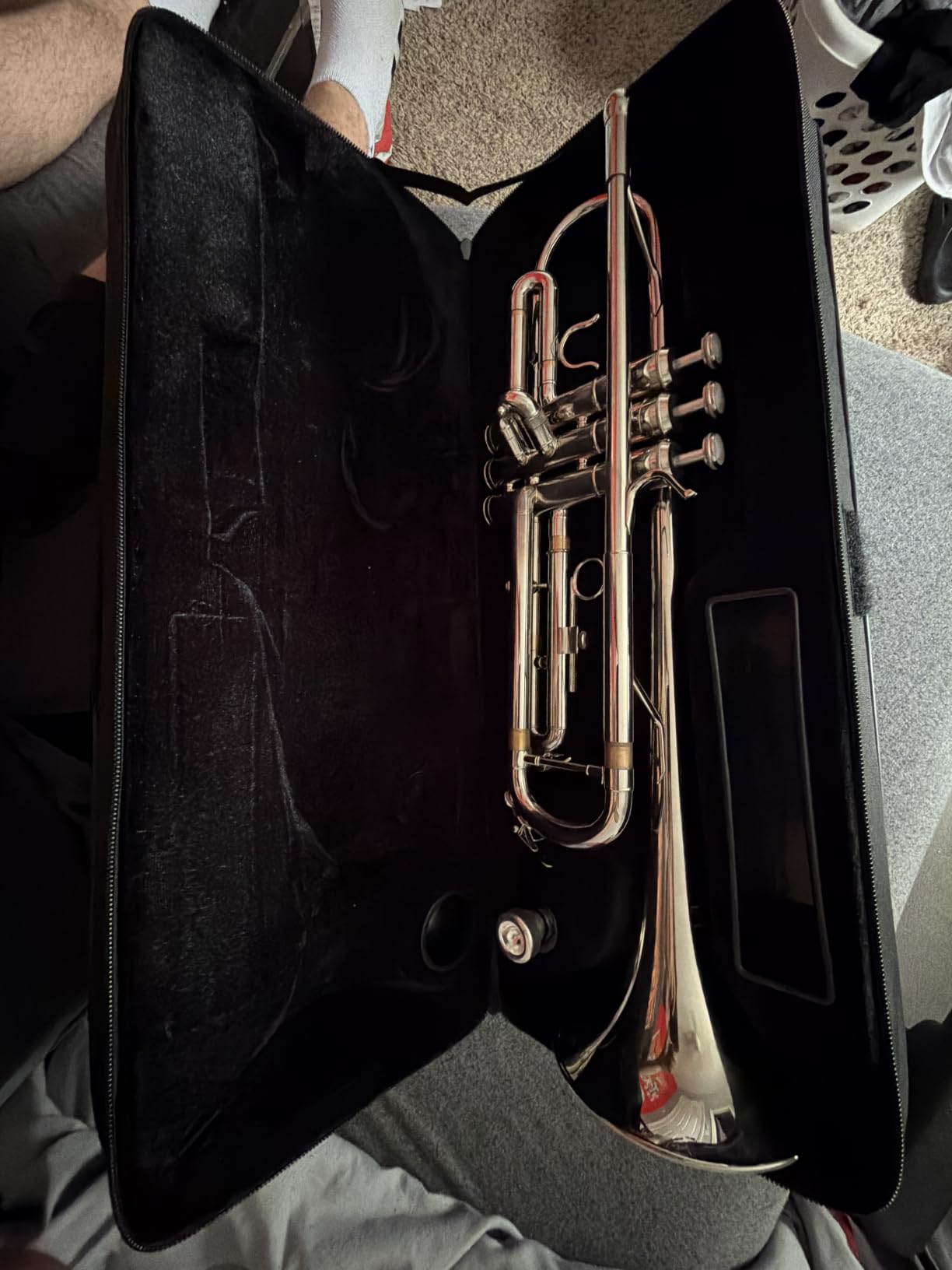 Eastar ETR-390 Standard B Flat Trumpet for Beginners Intermediate, Advanced Upgraded Trumpet Instrument with Hard Case, Cleaning Kit, 7C Mouthpiece, Gloves, Golden customer photo 1